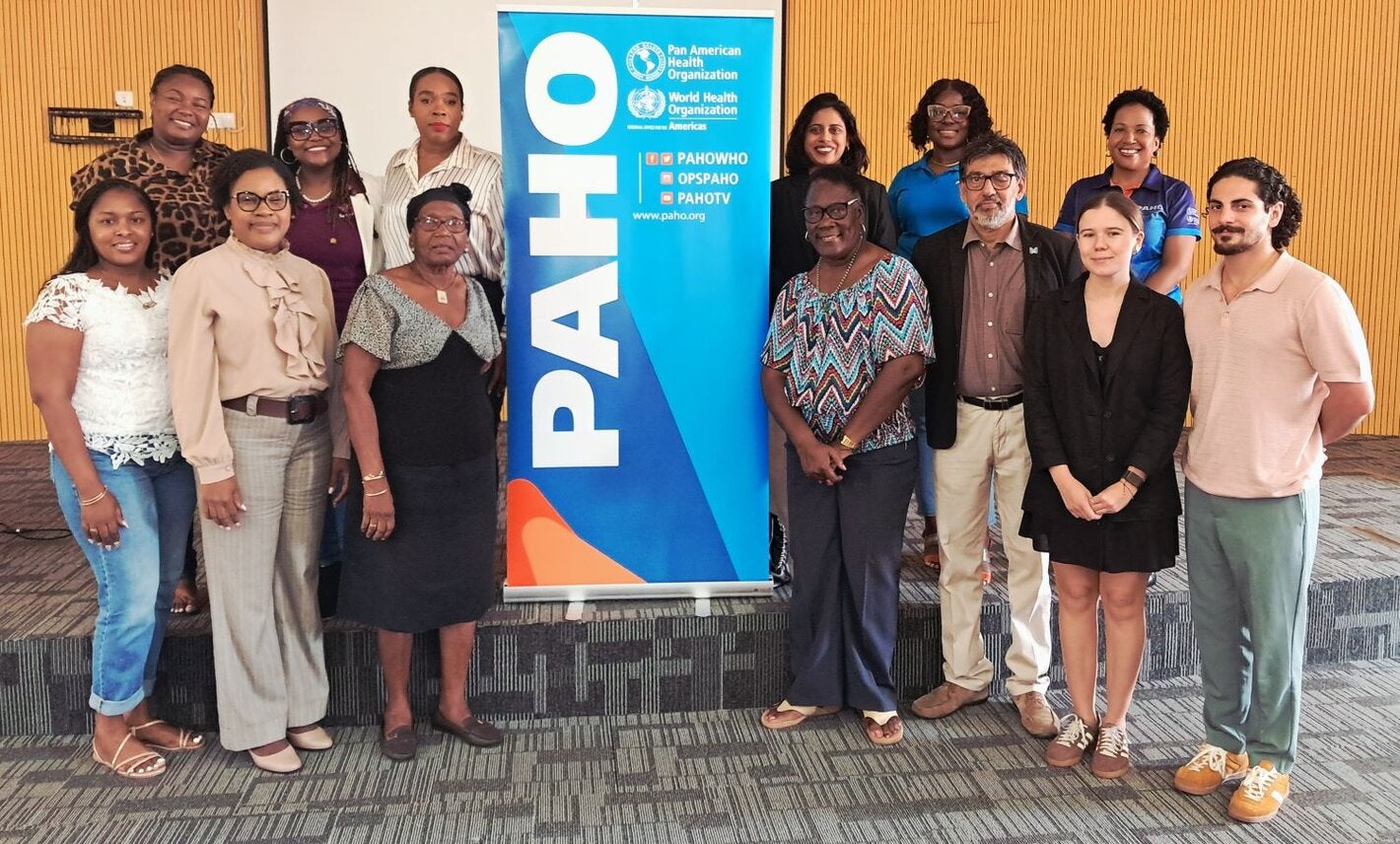 Dominica MH Consultation