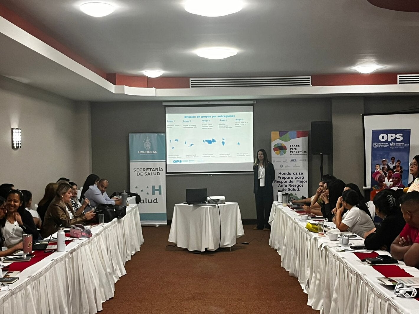 Responsables de los sectores de salud animal, humana y ambiental de Honduras en el Taller de Evaluación de Riesgos sobre Influenza Aviar Zoonótica