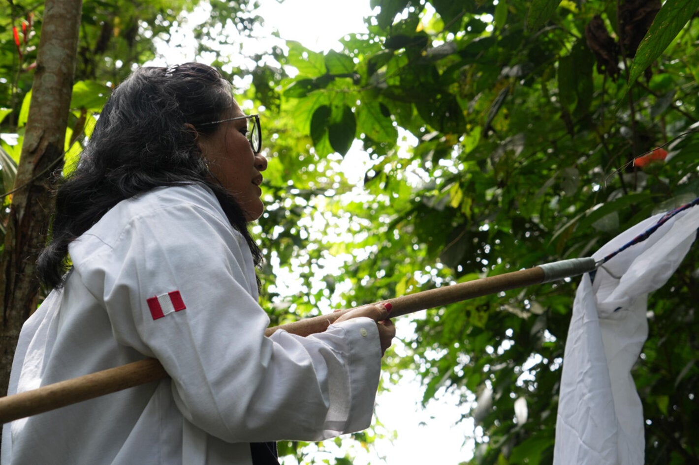 OPS/Adriana Navarro||Personal de salud realizando captura de vectores