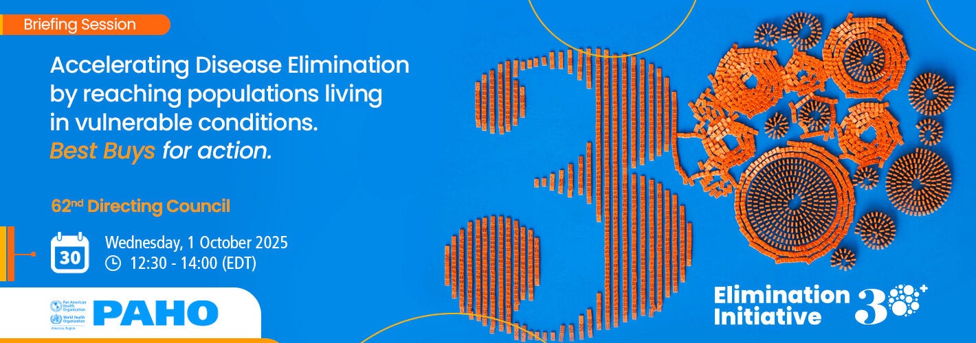 Accelerating Disease Elimination by reaching populations living in vulnerable situations – Best buys for action. Briefing session