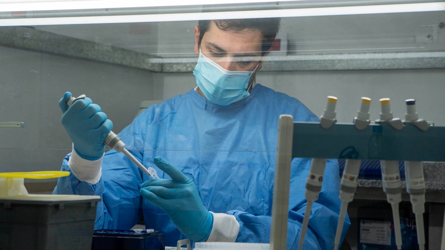 Técnico de laboratorio analiza muestras