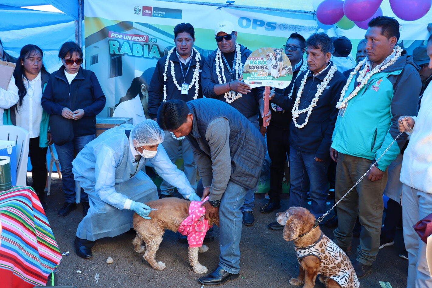 Autoridades y veterinario vacunando un perro contra la rabia en la frontera Bolivia-Perú