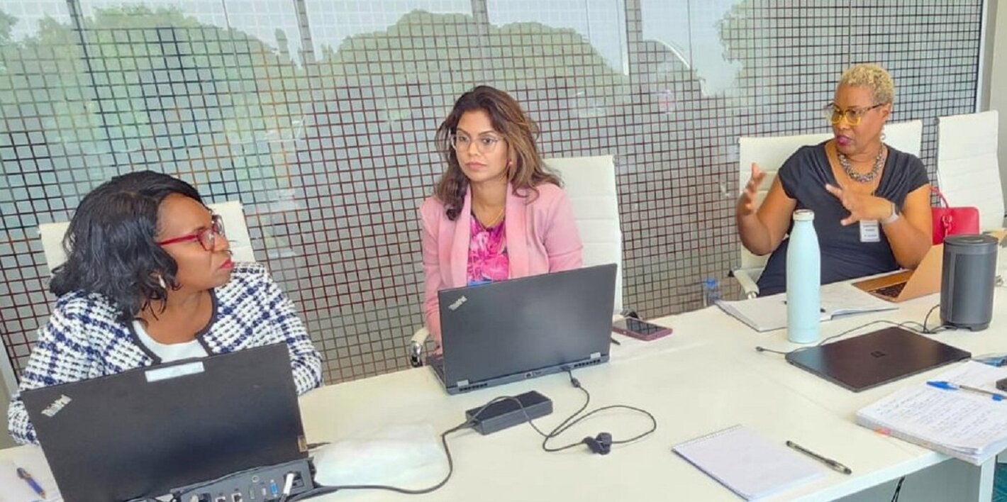 Participants discuss the Monitoring and Evaluation (M&E) Framework