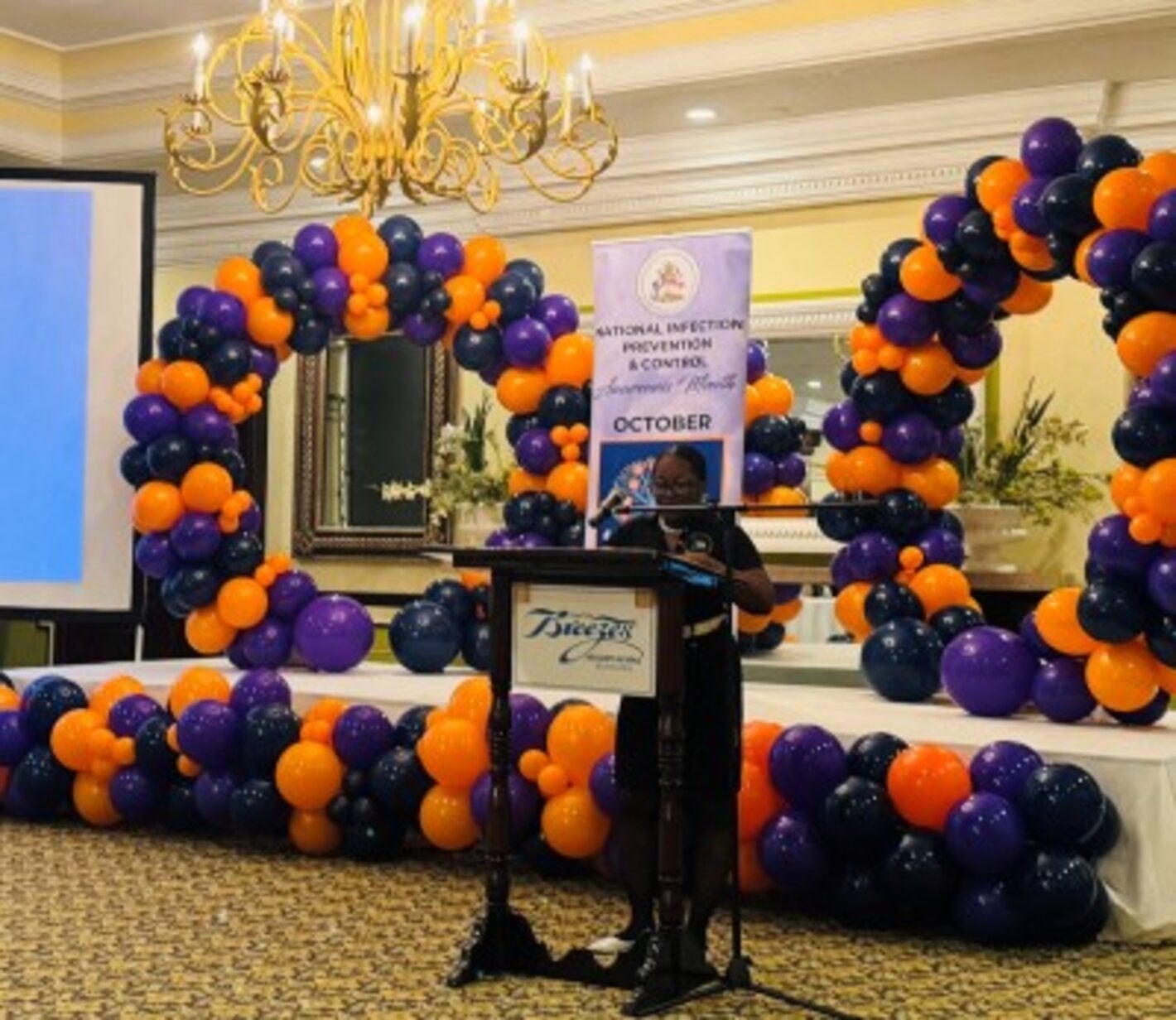 PAHO/WHO and Ministry of Health and Wellness host Second Annual National Infection Prevention and Control Work