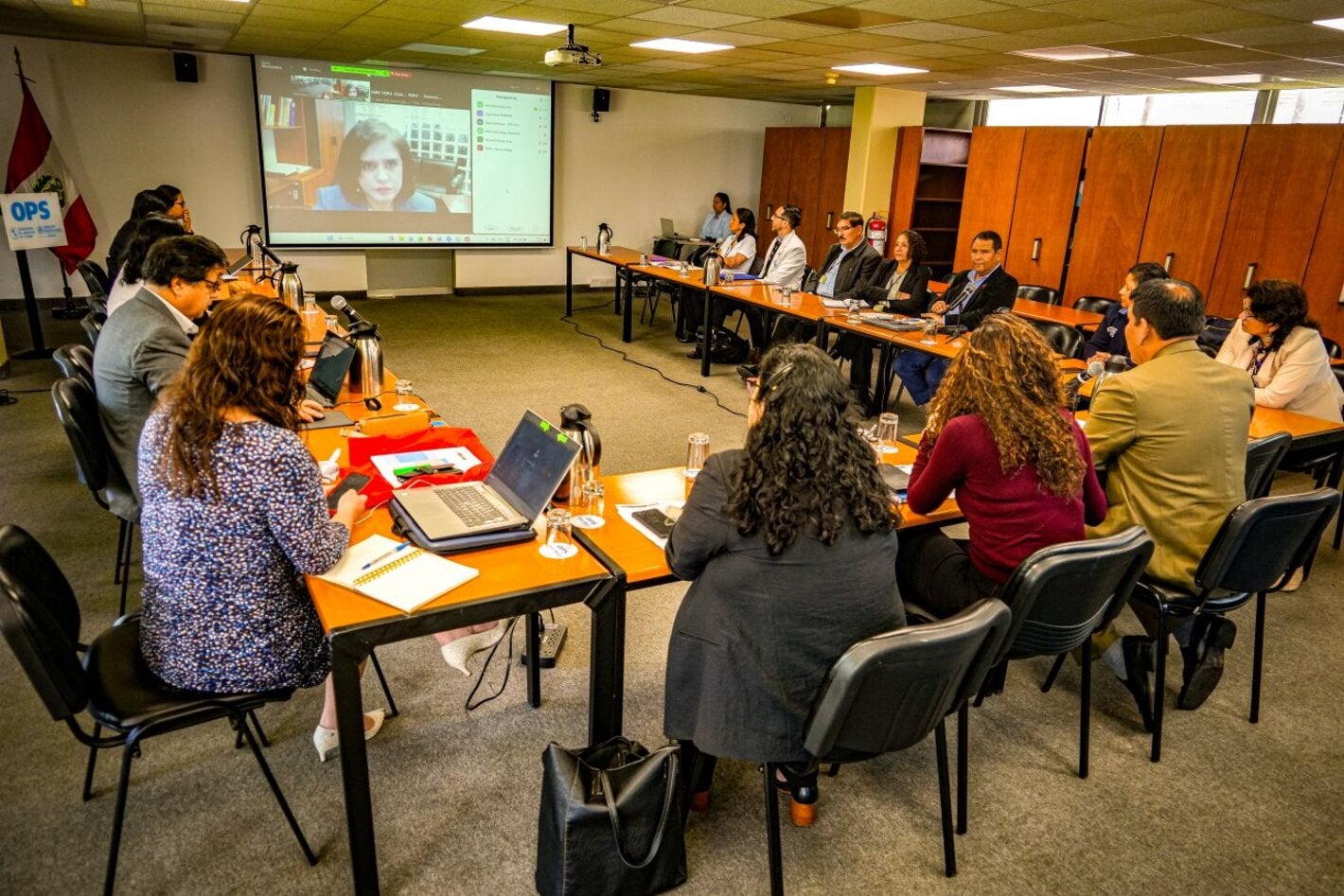 Reunión de preparación para la COP11