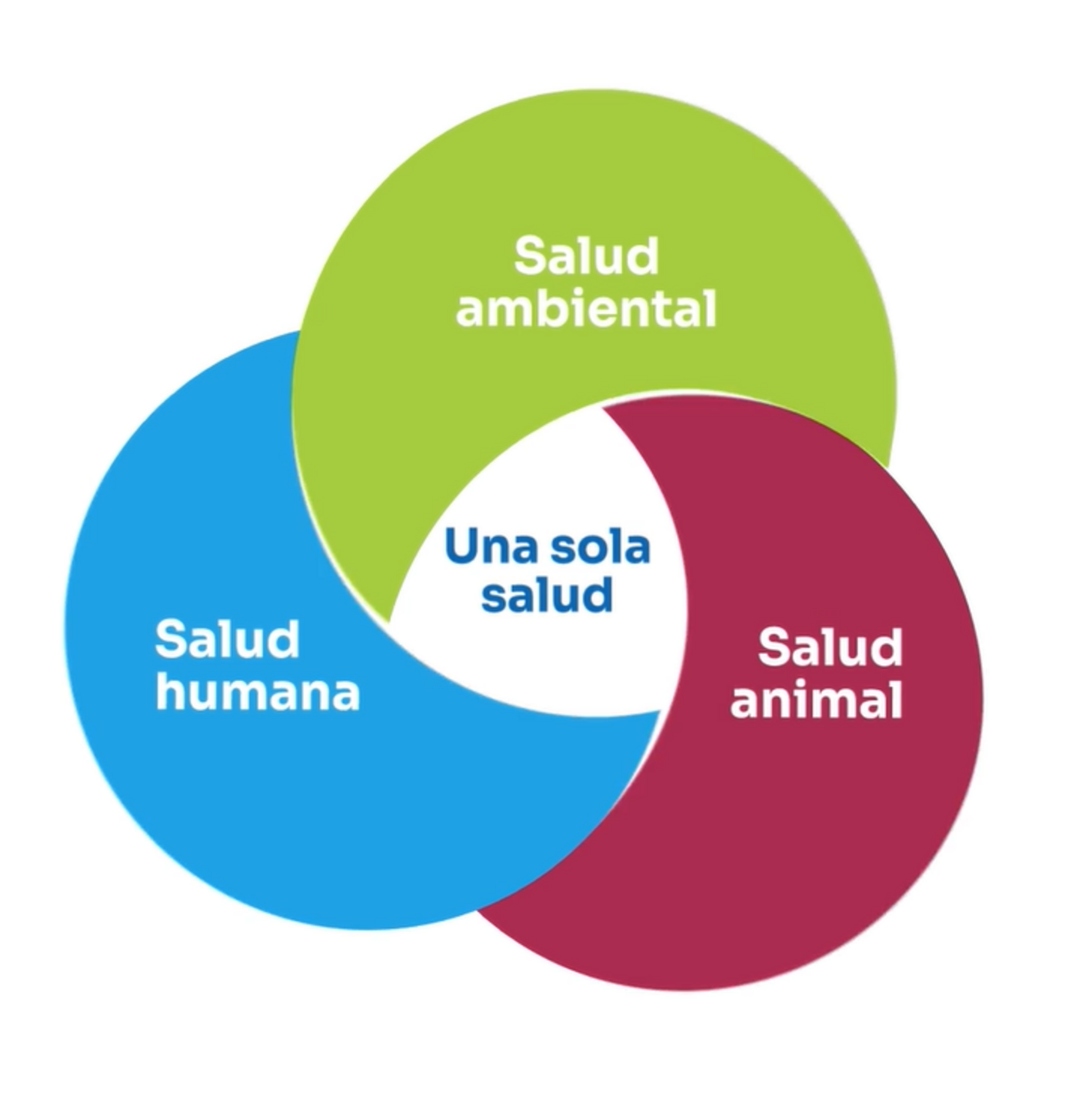 RAM una sola salud URY 