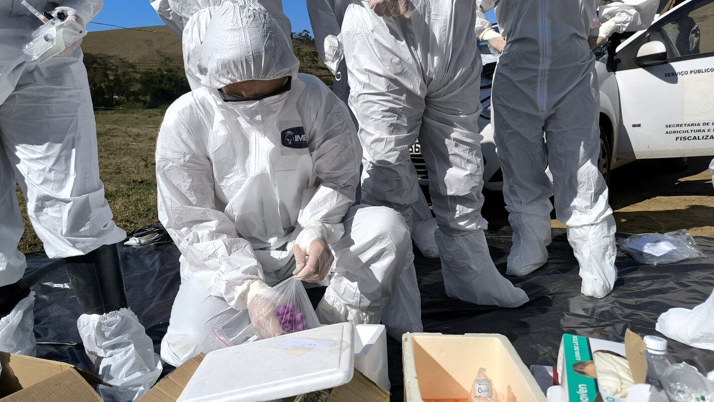 personal de los servicios veterinarios oficiales paramentados en un simulacro de fiebre aftosa