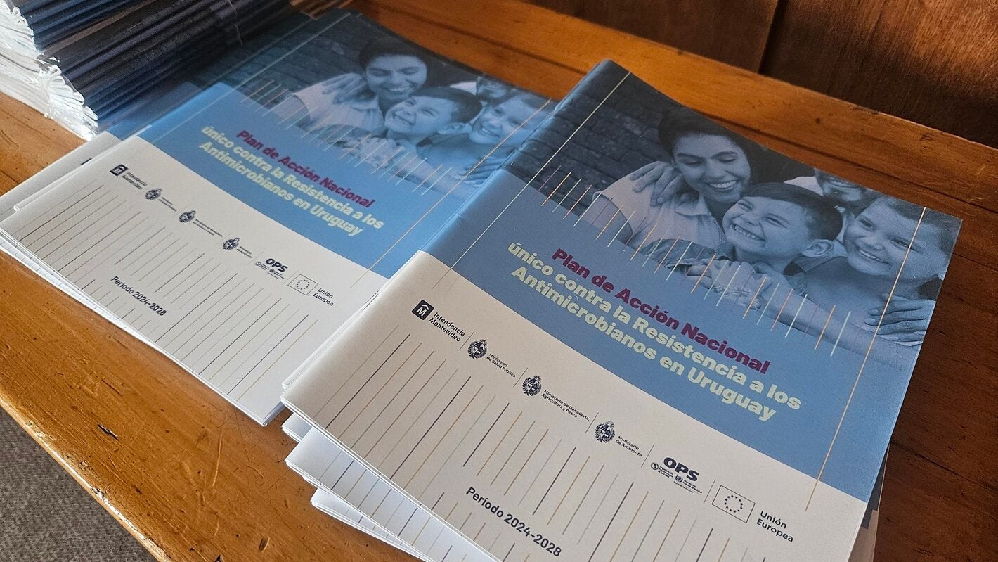 Plan Ram lanzamiento 