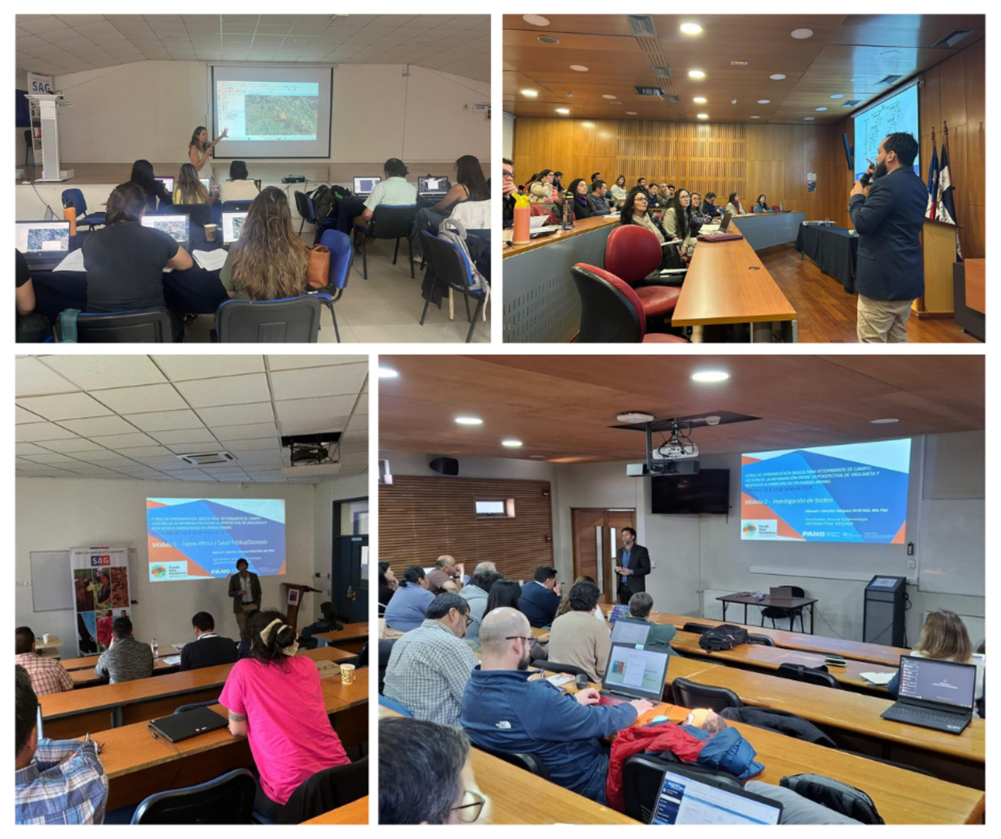 profesionales de salud animal, veterinaria y ambiente de Chile participando de capacitación impartida por técnicos de PANAFTOSA en epidemiología aplicada en distintas regiones del país