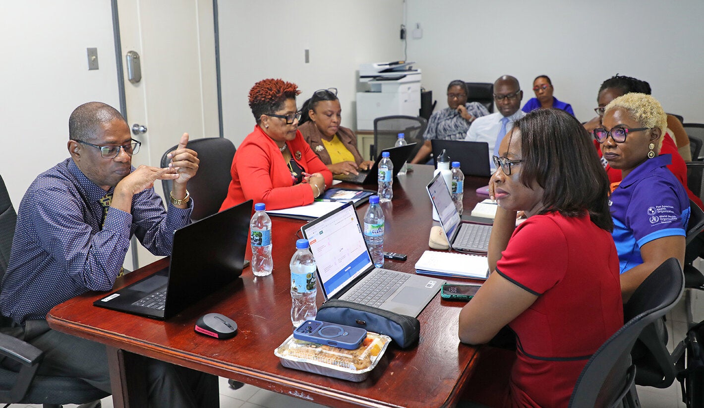 Technical cooperation review meeting