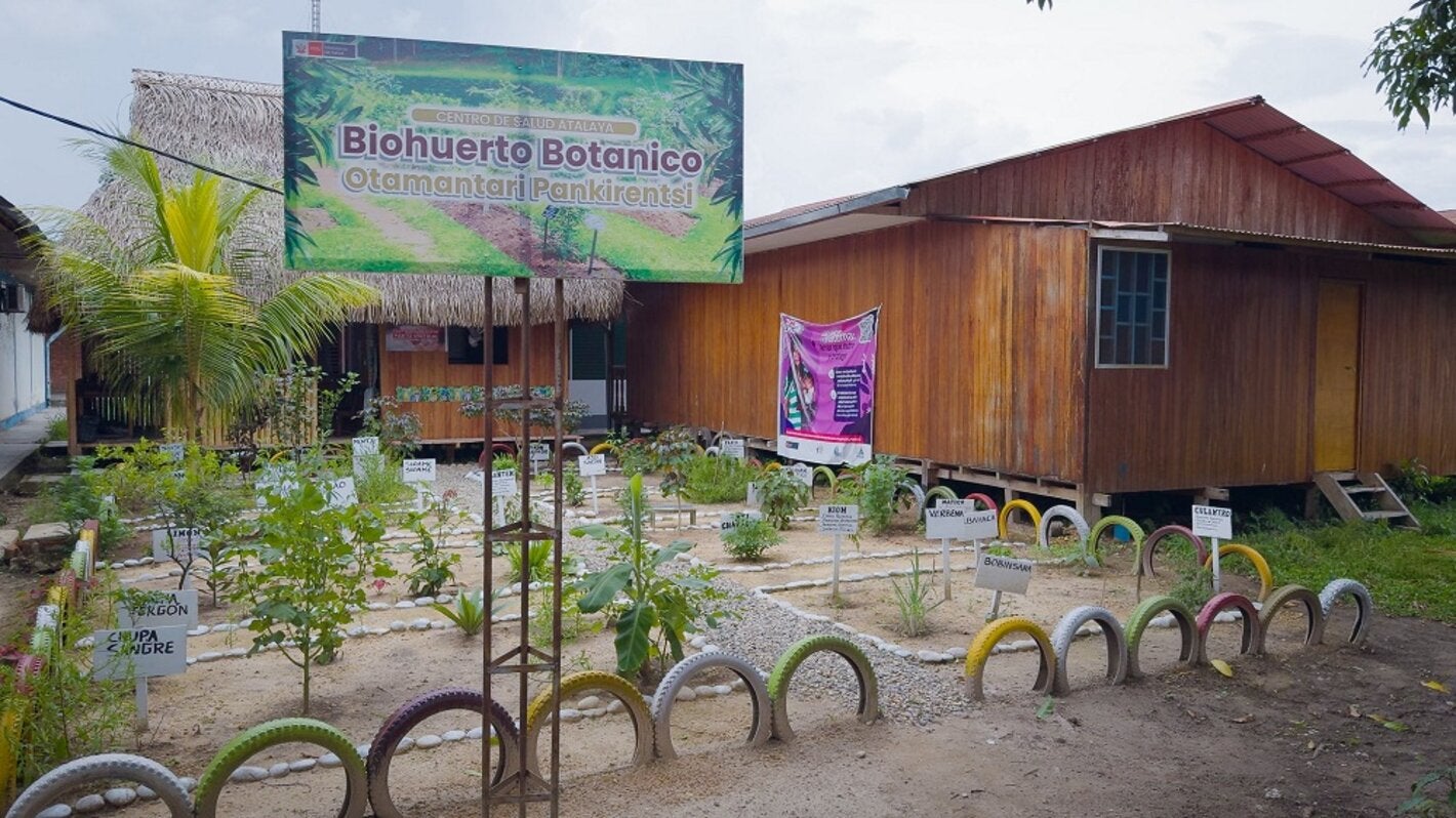Biohuerto de medicina tradicional en un hospital intercultural en Perú