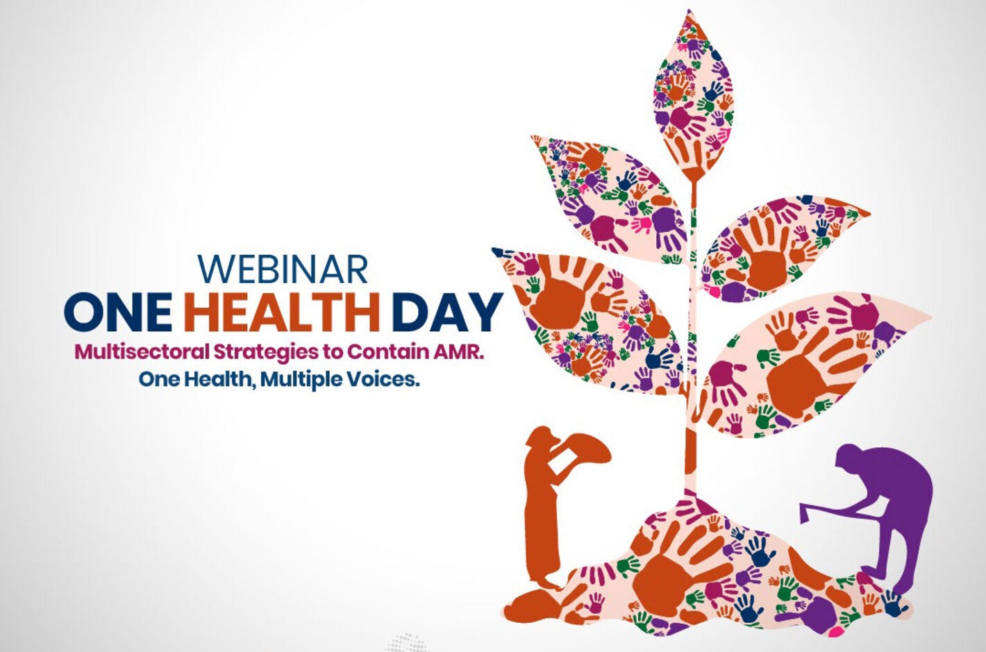 World One Health Day Webinar 2025 – “Multisectoral Strategies to Contain Antimicrobial Resistance (AMR): One Health, Multiple Voices” 
