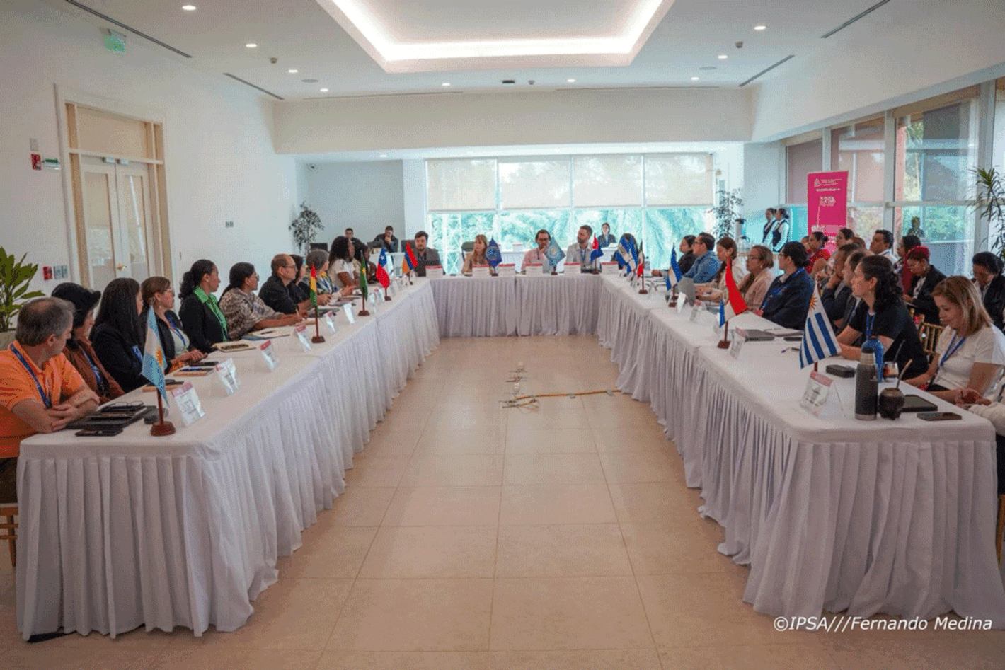 participantes de la 12 asamblea ordinaria de la RILAA, celebrada en Nicaragua, sentados en mesa en u, discutiendo los riesgos de la inocuidad alimentaria