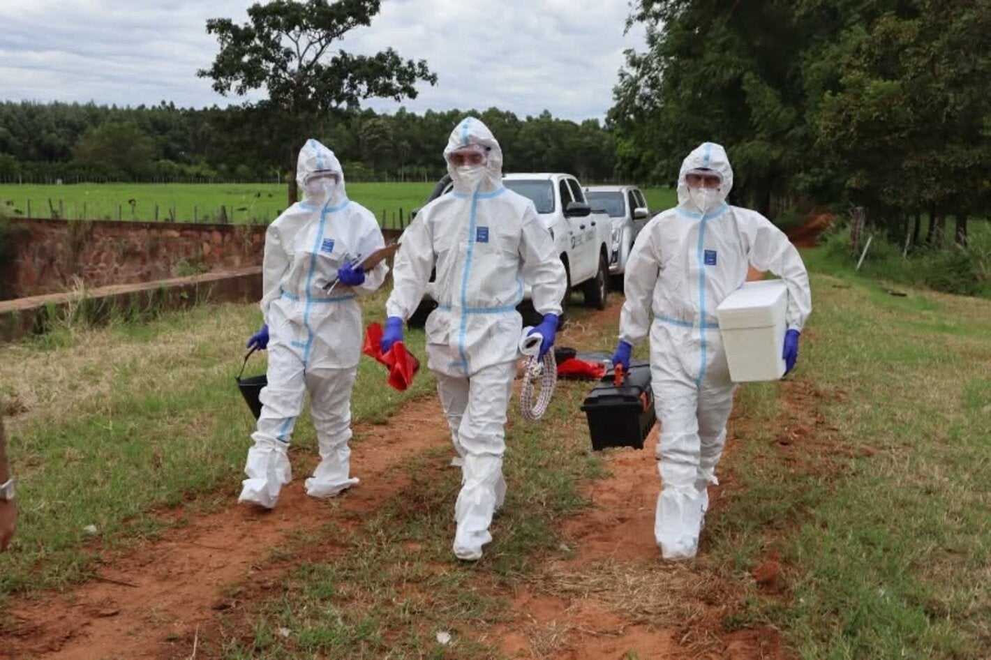 participantes del simulacro fiebre aftosa en Paraguay