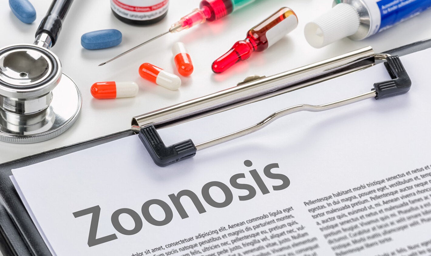 Zoonosis written on a clipboard