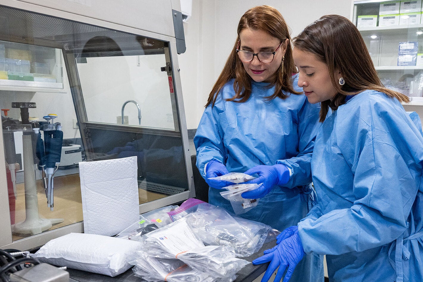 laboratorio