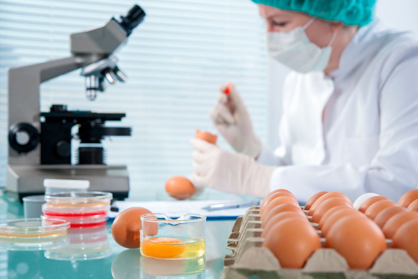 técnica de alimentos en laboratorio