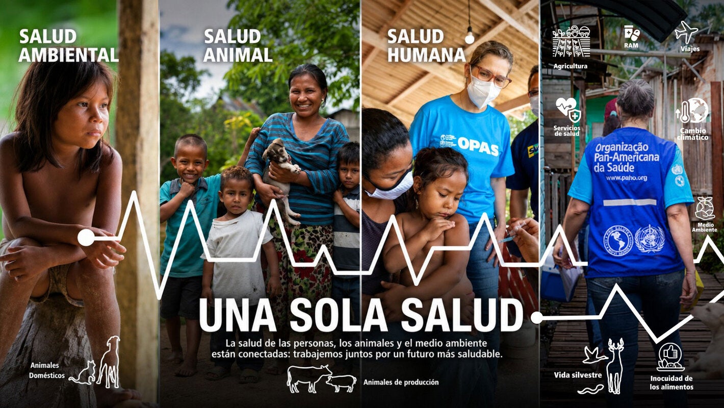Imágenes que representan el enfoque Una Sola Salud, a través de la salud ambiental, la salud animal y la salud humana