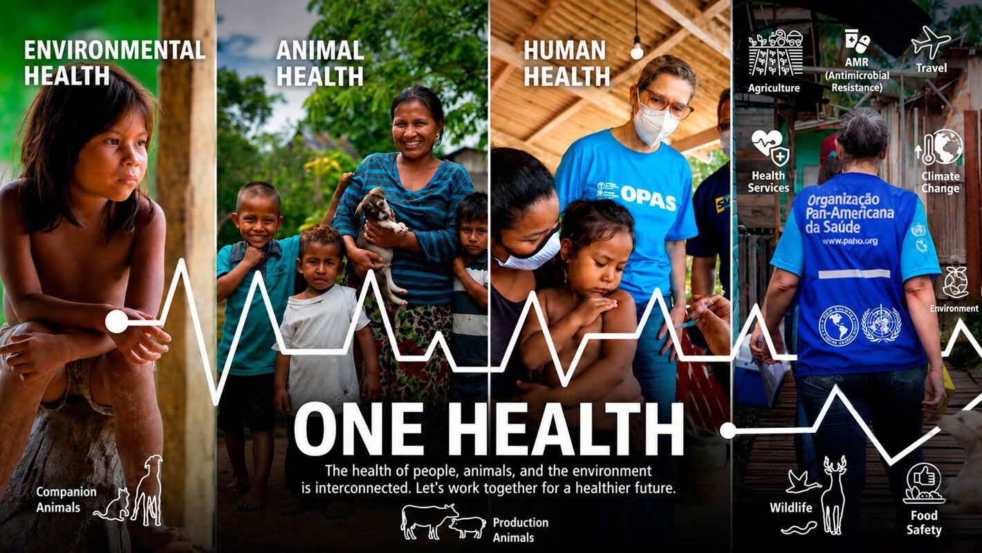 Imágenes que representan el enfoque Una Sola Salud, a través de la salud ambiental, la salud animal y la salud humana