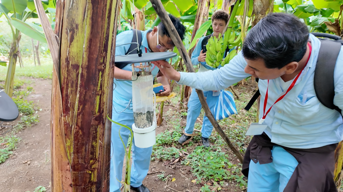 Identificación y vigilancia de culicoides
