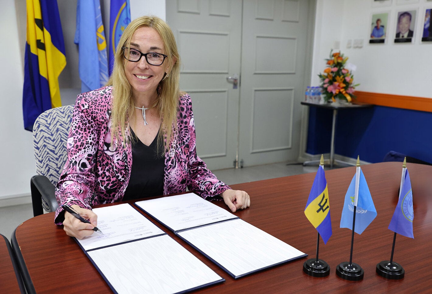 PAHO/WHO Representative Barbados and the Eastern Caribbean Countries
