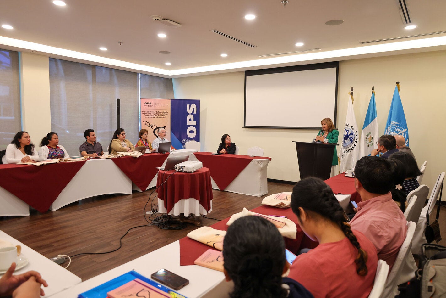 ténicos de PANAFTOSA, OPS Guatemala, expertors internacionales y la viceministra de salud de Guatemala reunidos revisando las estrategias para mejorar la respuesta ante los accidentes por animales venenosos en el país