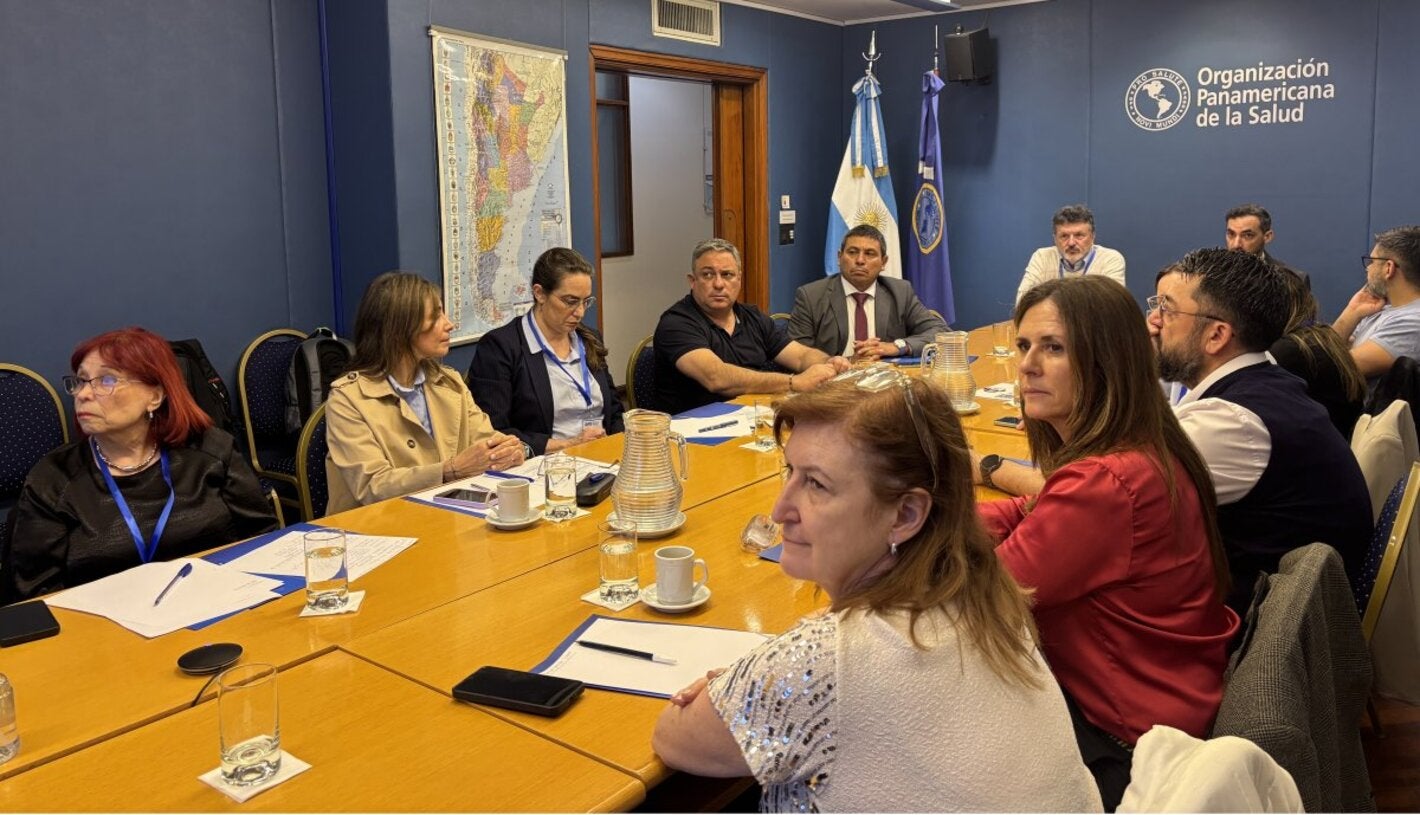 Participants in the workshop  during a working session at the PAHO office in Buenos Aires.