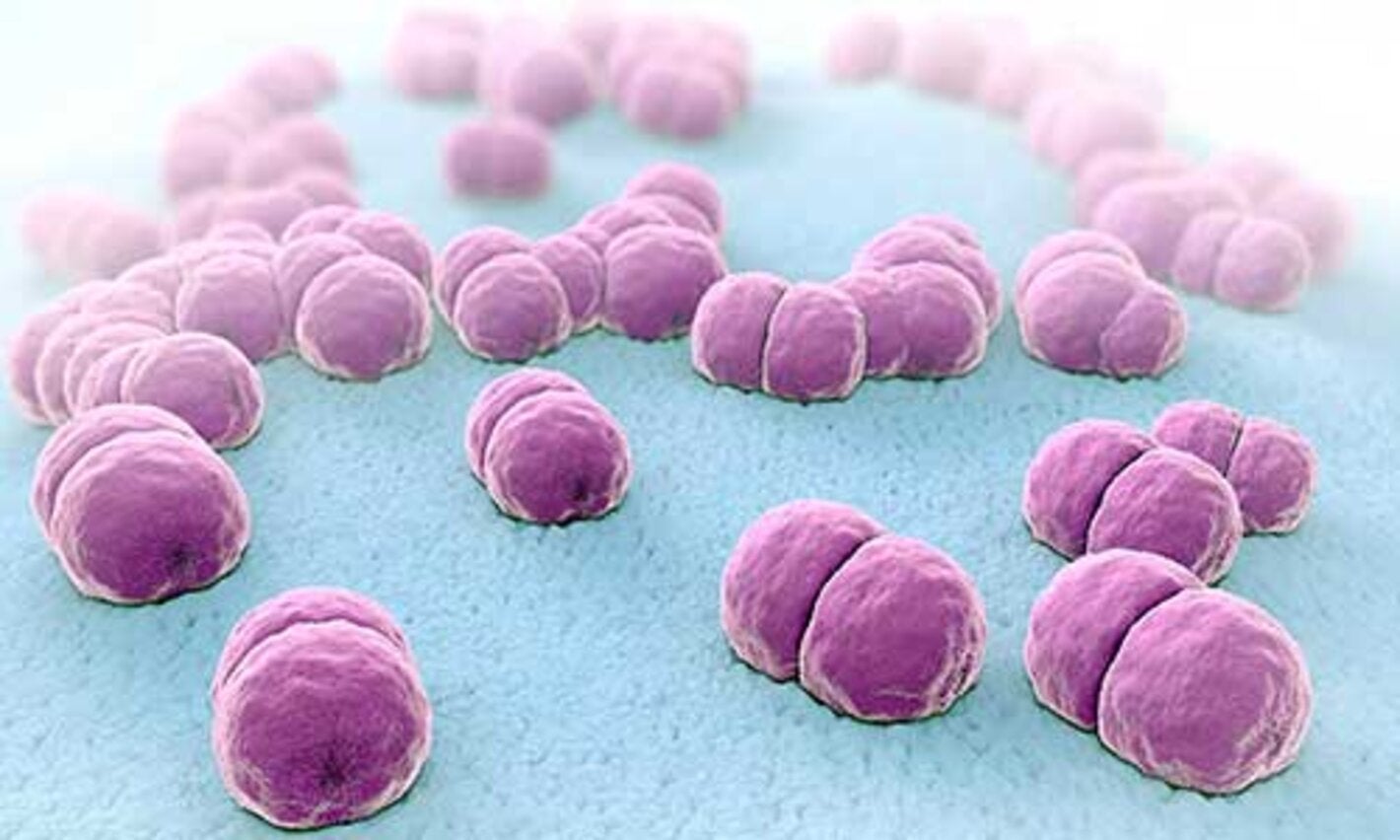 OPS apoya a la República Dominicana en el fortalecimiento de su respuesta a la eliminación de la meningitis bacteriana como problema de salud pública