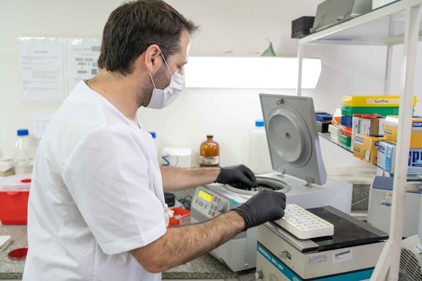 Extracción de ADN de cultivos bacterianos.