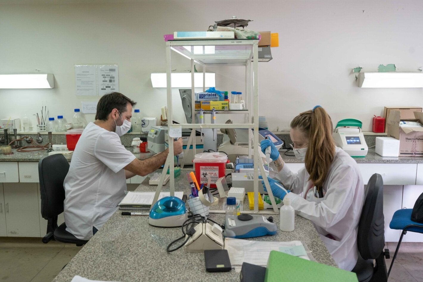 Realización de pruebas moleculares, como la Reacción en Cadena de la Polimerasa (PCR), para caracterización genotípica de las muestras enviadas por los laboratorios de los hospitales de Argentina para detección/ confirmación de mecanismos específicos de resistencia.