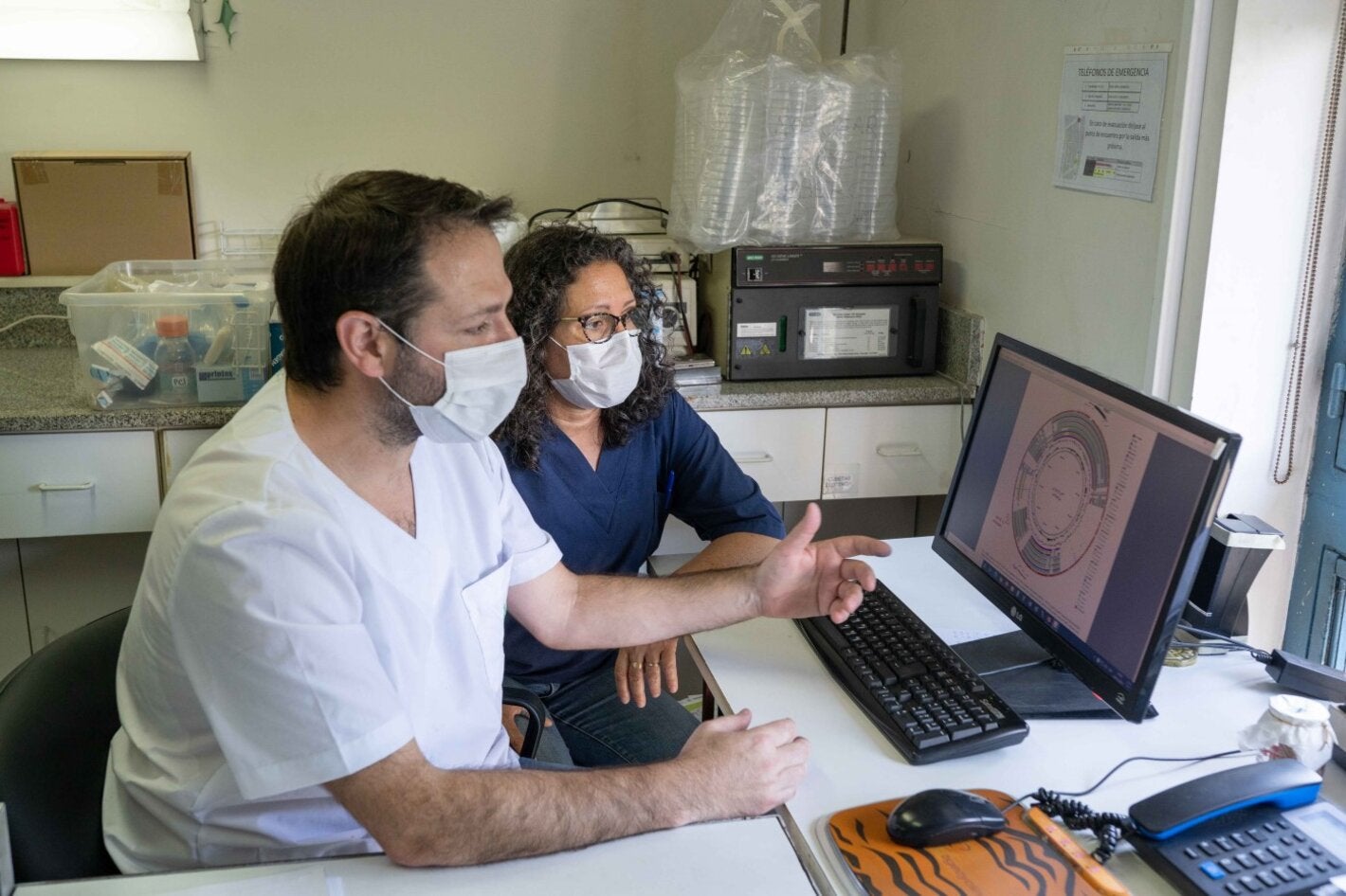 Análisis de los resultados de la secuenciación genómica de bacterias resistentes a los antimicrobianos.