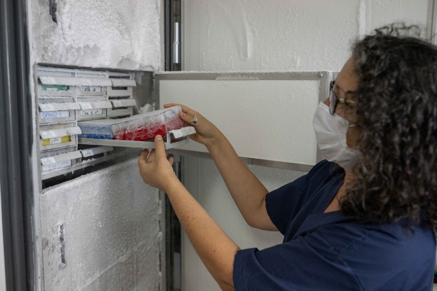 Cepas de referencia almacenadas durante décadas en un freezer de -70°C.