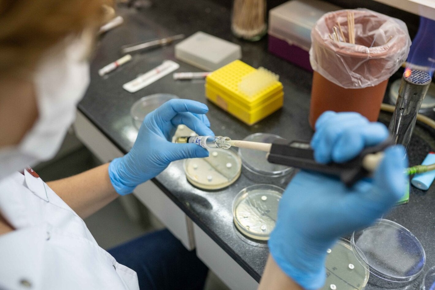 Pruebas de sensibilidad antimicrobiana.