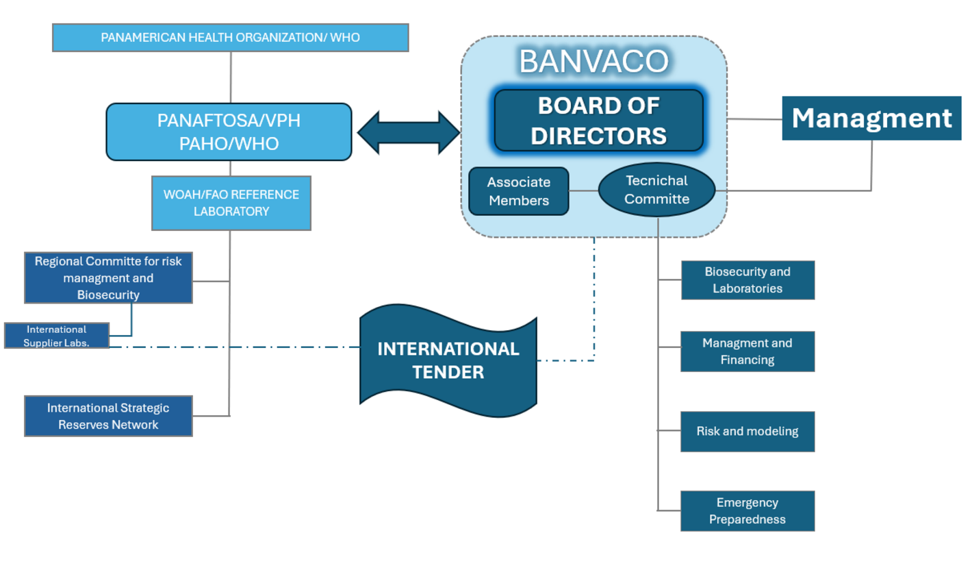 ""organigrama BANVACO