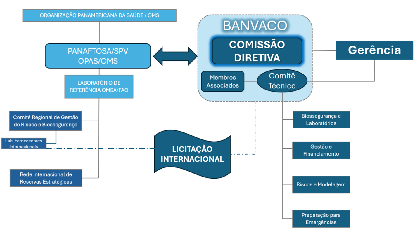 ""organograma BANVACO