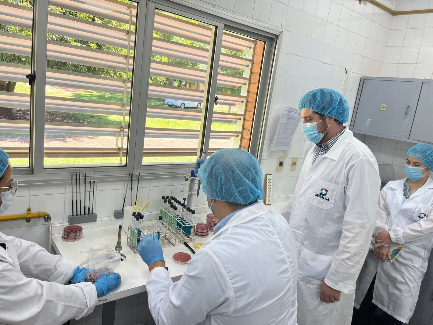 ""técnico de PANAFTOSA capacitando personal de laboratorio de Paraguay en inocuidad de alimentos y RAM
