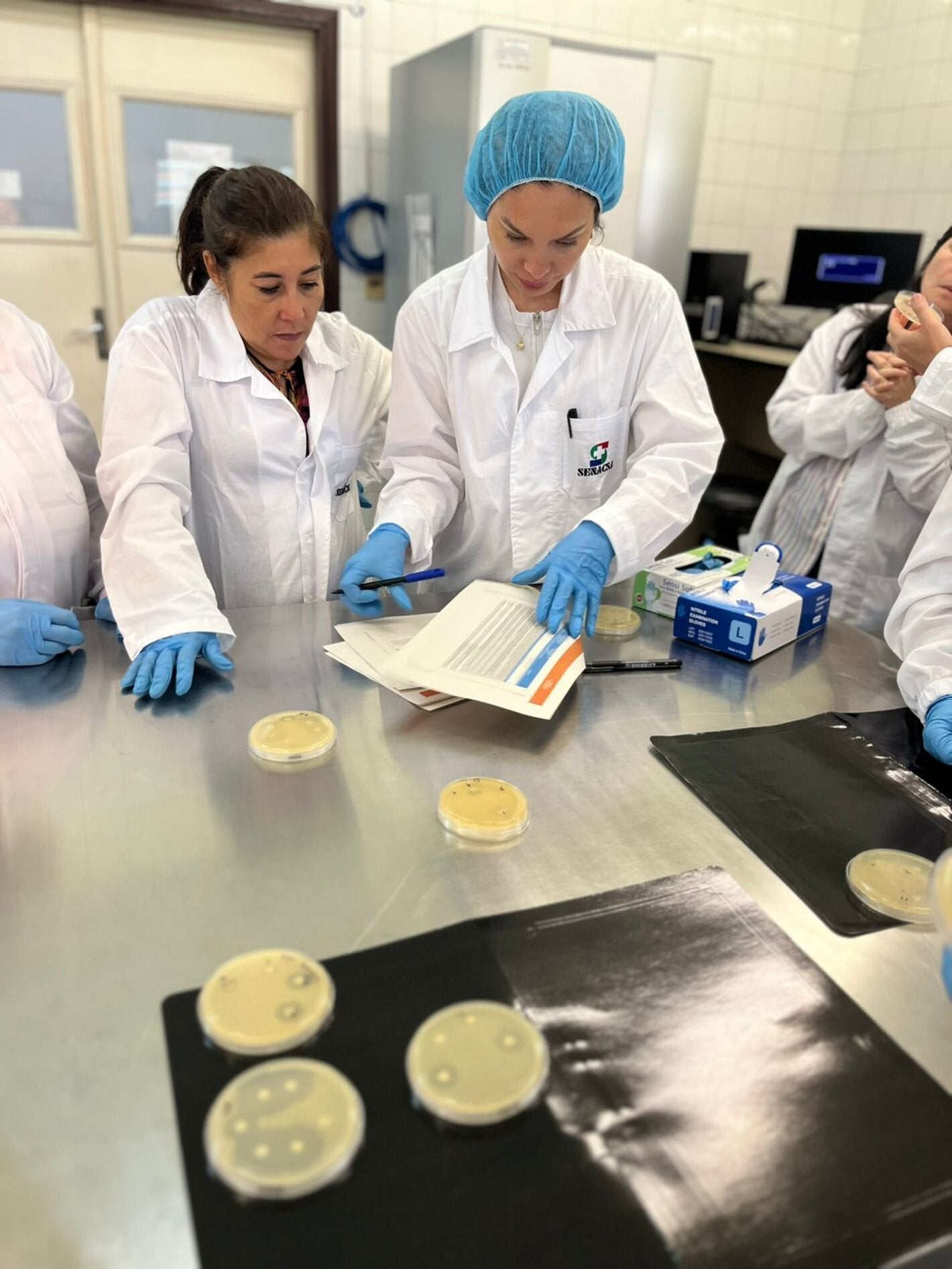 ""técnico de PANAFTOSA capacitando personal de laboratorio de Paraguay en inocuidad de alimentos y RAM