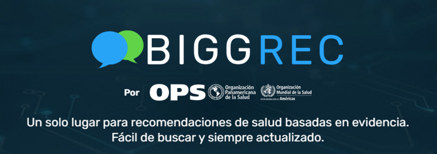 BiggRec image