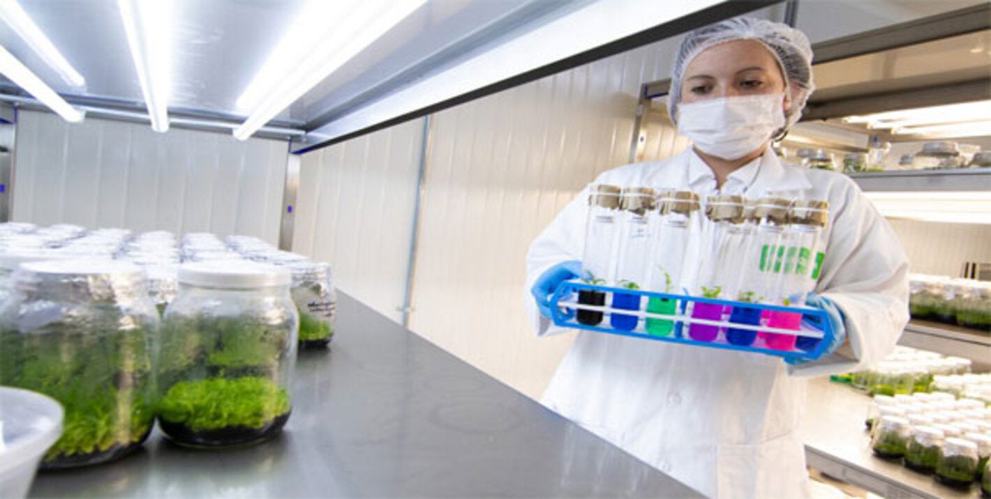 bacteriologa con tubos de ensayo