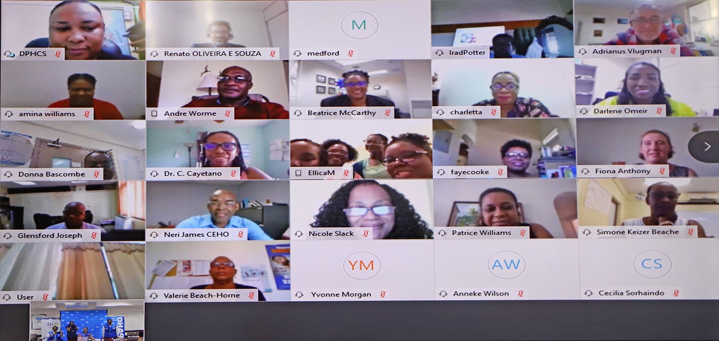 Webinar participants