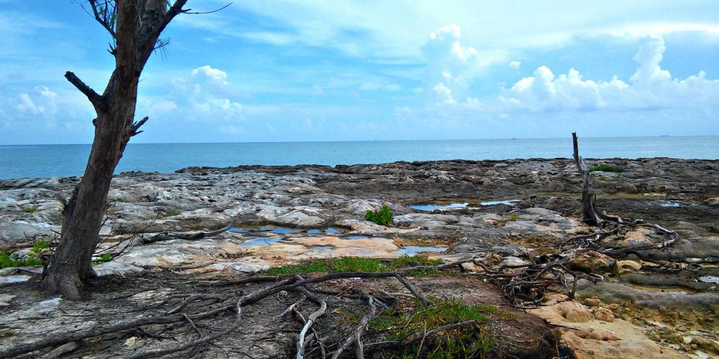 Playa devastada por el cambio climático