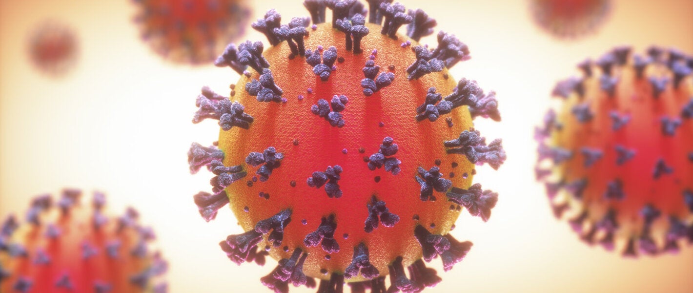 coronavirus