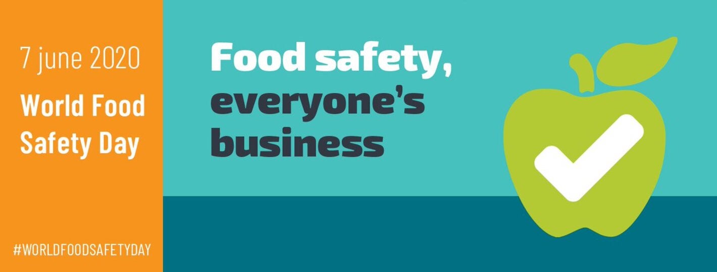 Día Mundial de la Inocuidad de los Alimentos 2020 - OPS/OMS ...