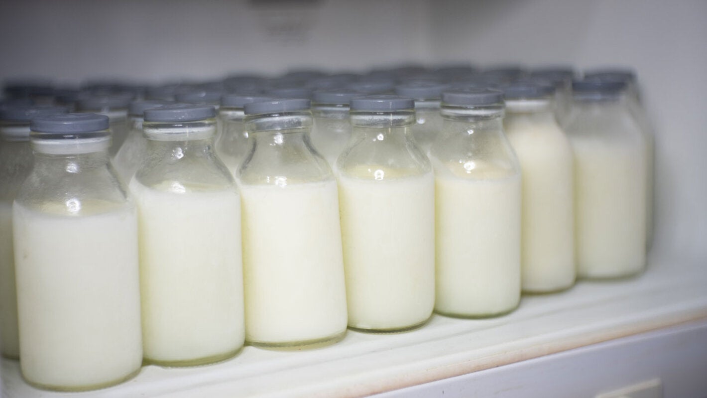 INSTITUTO FERNANDES FIGUEIRA/FIOCRUZ Human Milk Banks in the Americas