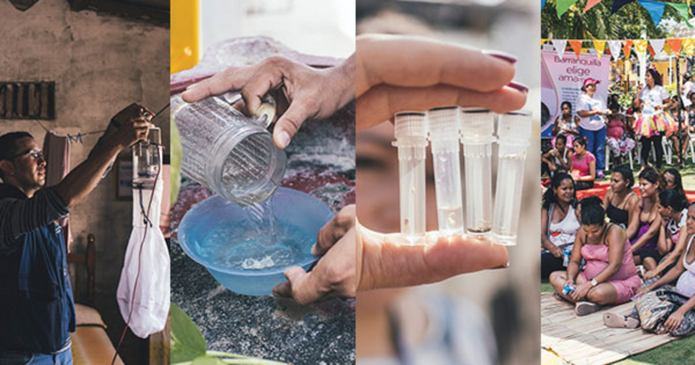 10 vector-borne diseases that put the population of the Americas at risk