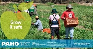 Social Media Postcards