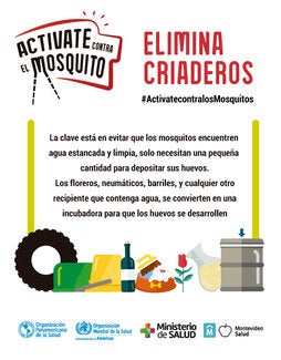 Activate contra el mosquito - elimina criaderos 2