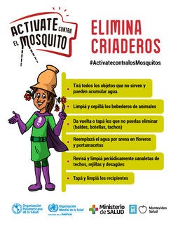 Activate contra el mosquito - elimina criaderos