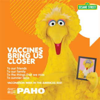 VWA 2021 - Sesame Street - Big Bird