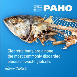 Cigarette butts are among the most commonly discarded pieces of waste globally
